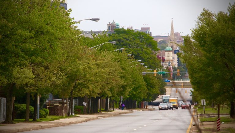 Here Come 450 New Street Trees for Baltimore