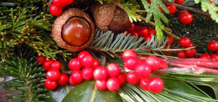 Make a Holiday Wreath With Native Plants