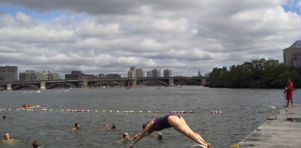 a man diving into the water from a dock
