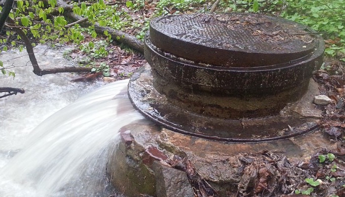 a water fountain is shown in the woods