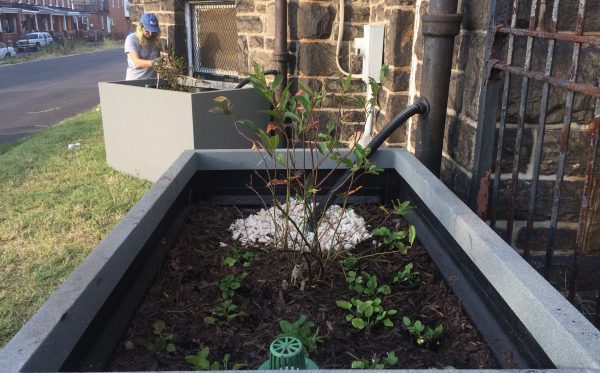Stormwater Planters at Prince of Peace Baptist Church