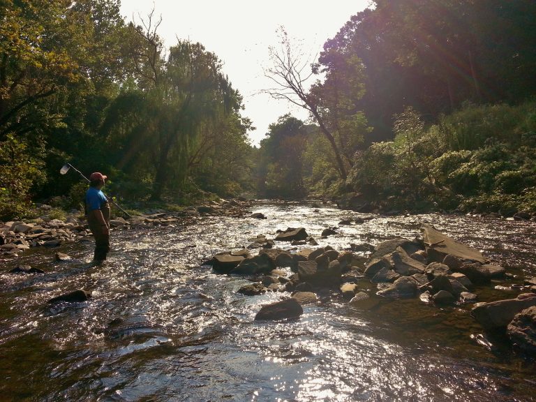 Major New Study of Gwynns Falls Watershed Shows Blue Water Baltimore’s Work Is Paying Off