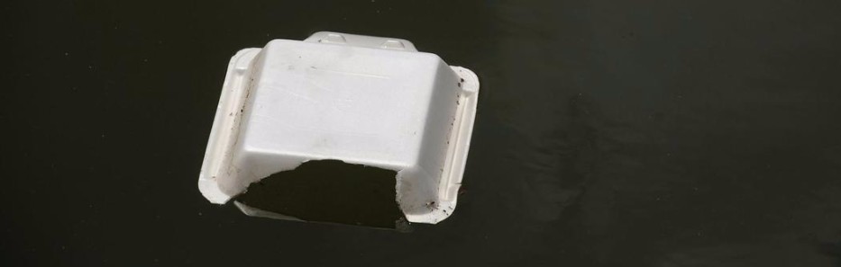 a white object floating on top of a body of water