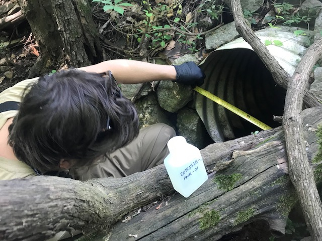 a woman is looking into a hole in the woods