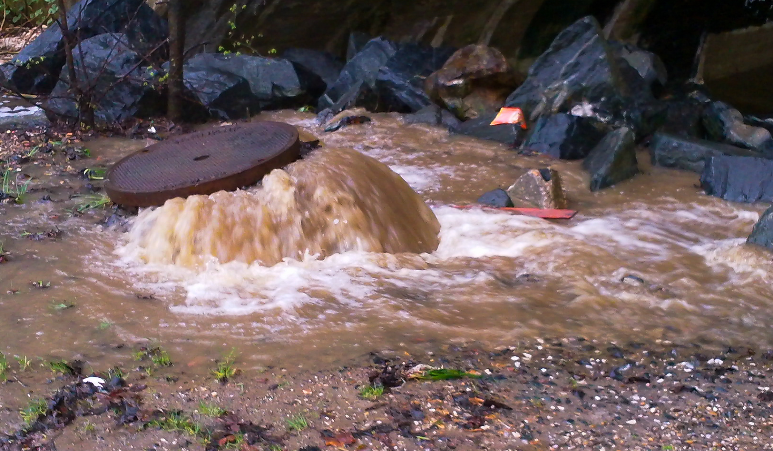 A sewer overflow discharging brown sewage into a local waterway.