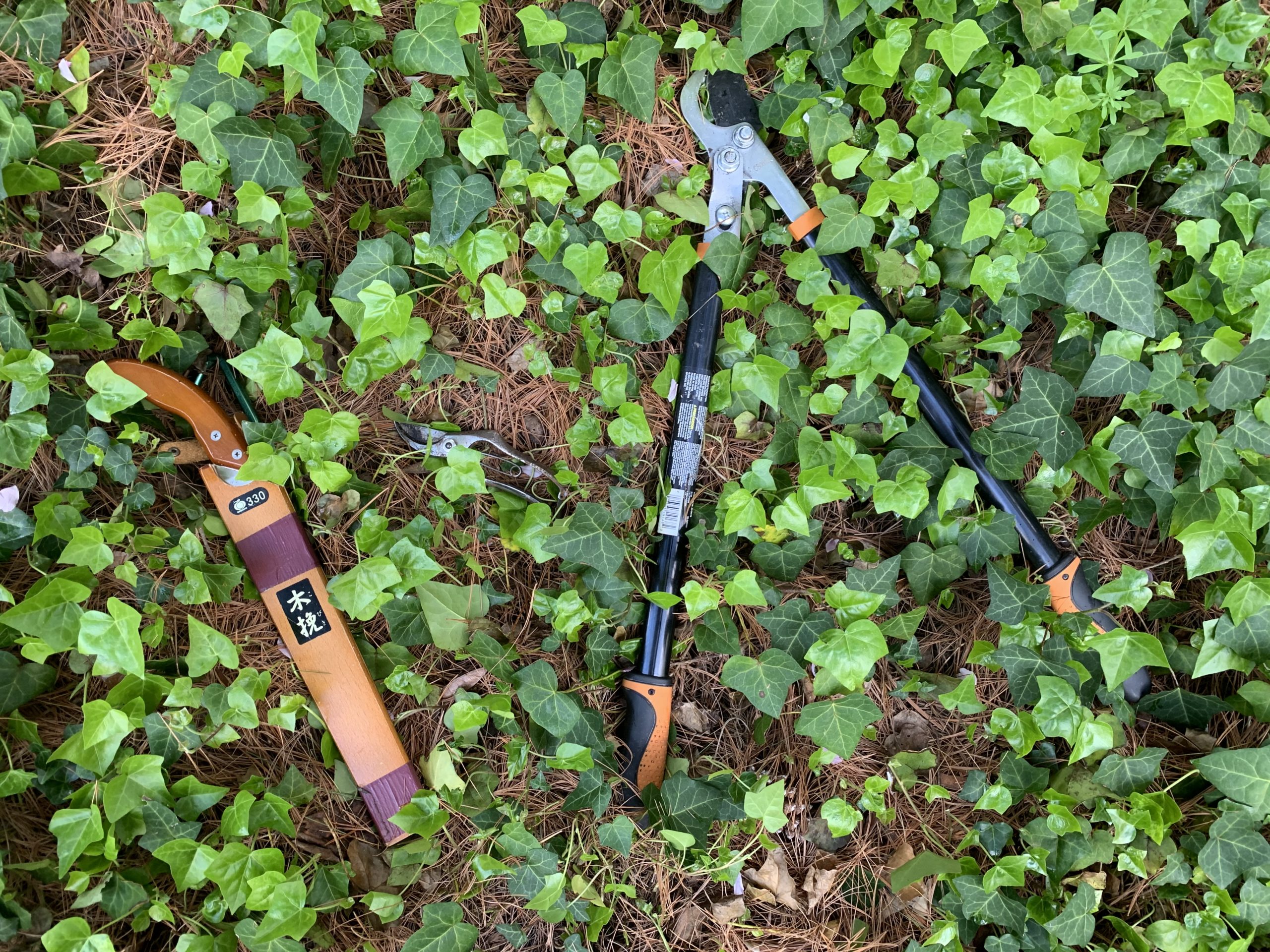 several garden tools are laying on the ground