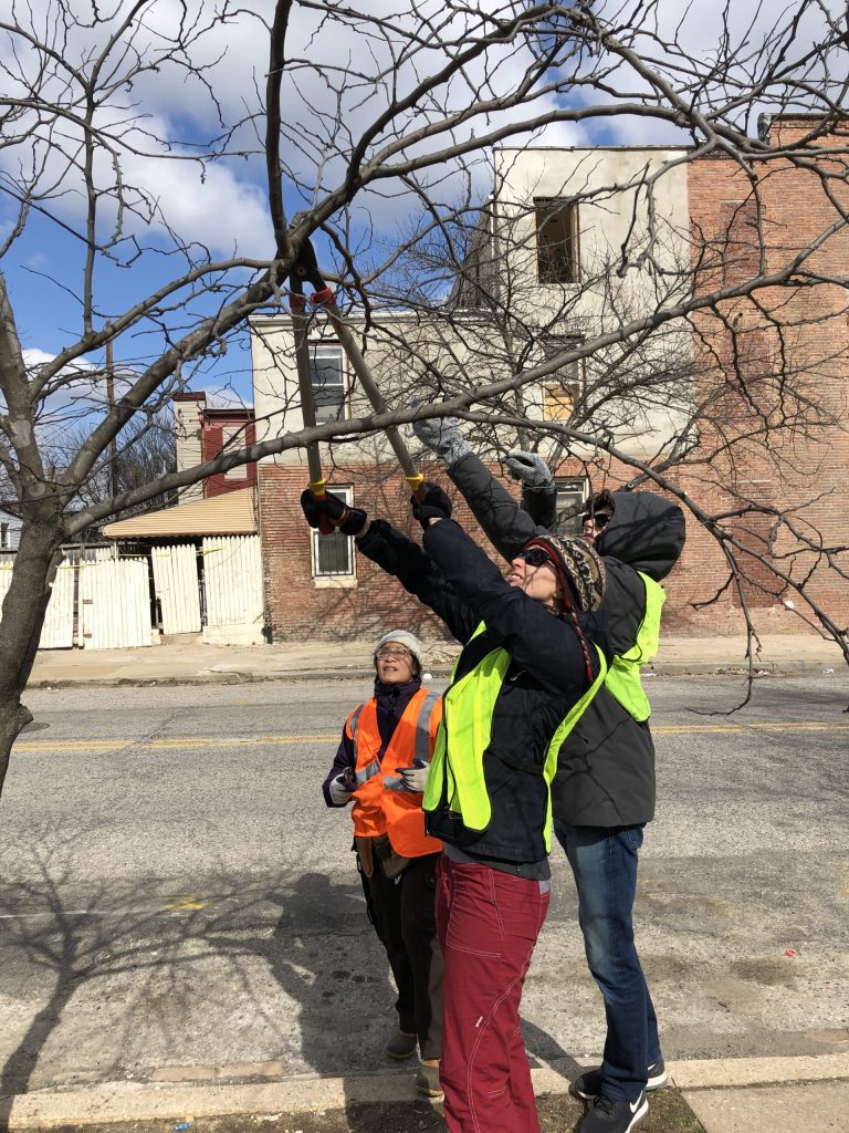 two people in safety vests reaching up to grab something off a tree