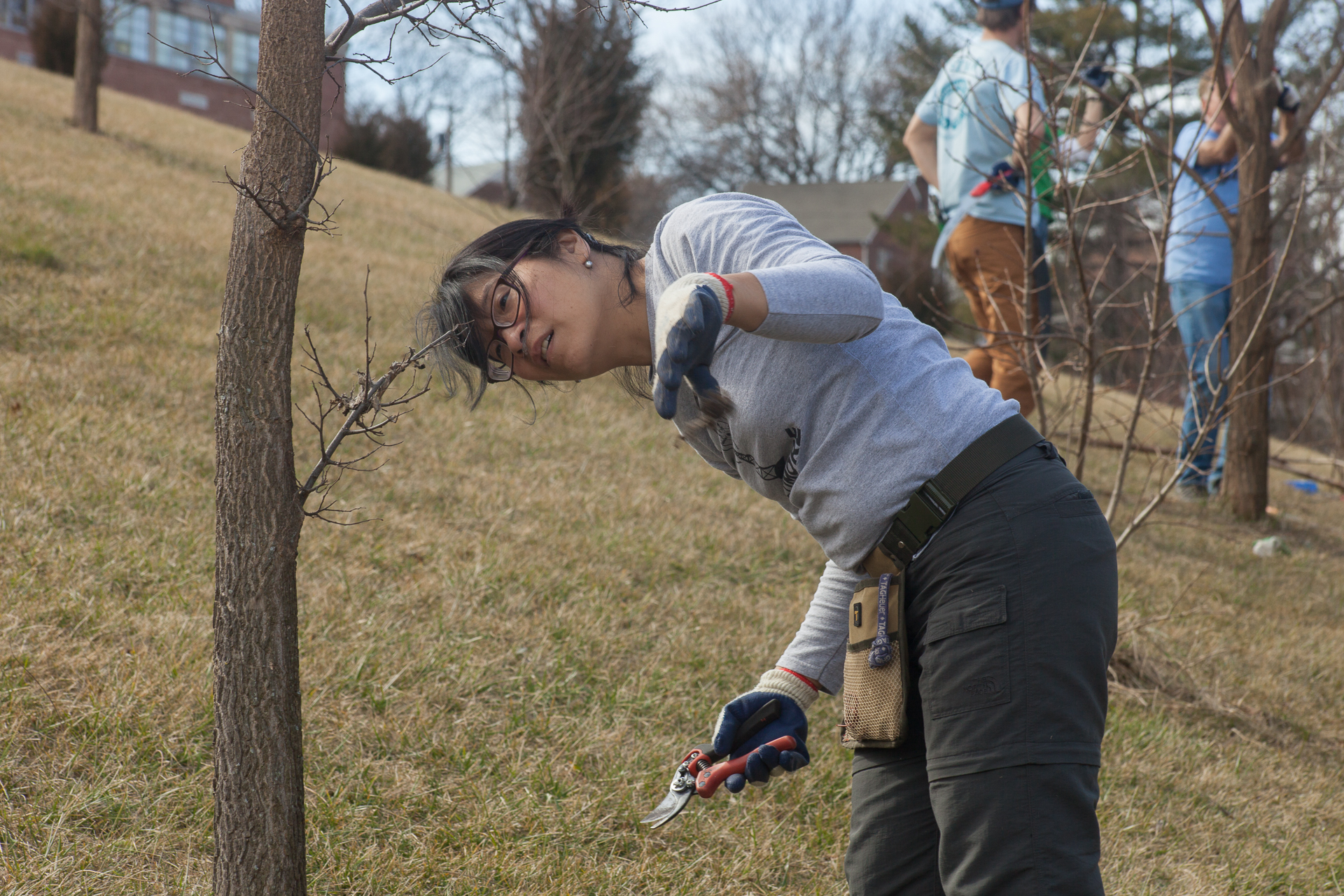 a woman is trimming a tree with a pair of gloves