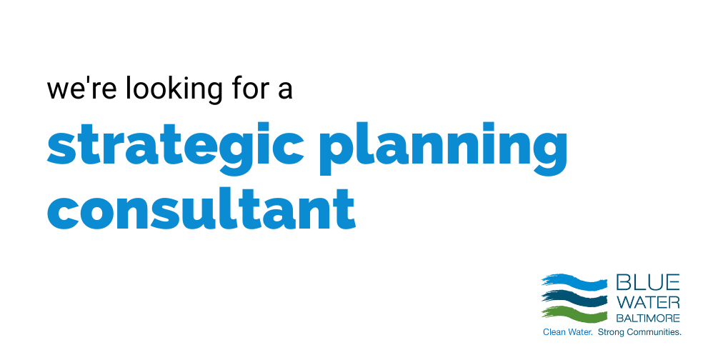 we're looking for a strategy planning consultant