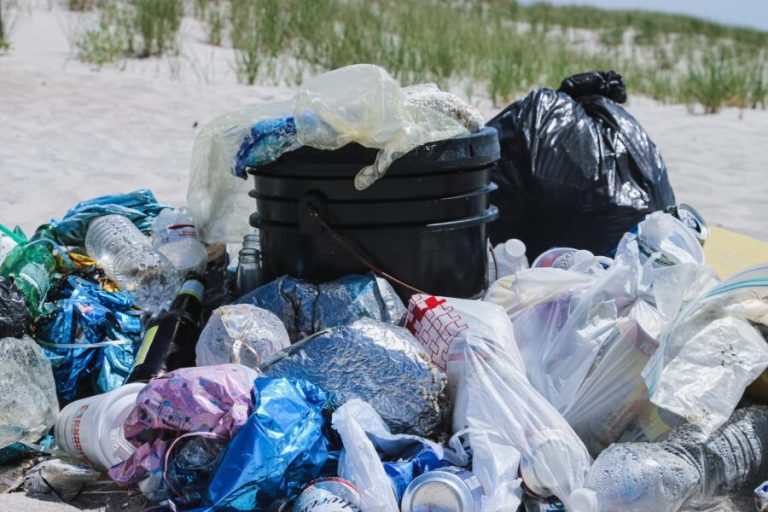 Take Action! Ban Plastic Bags in Baltimore County