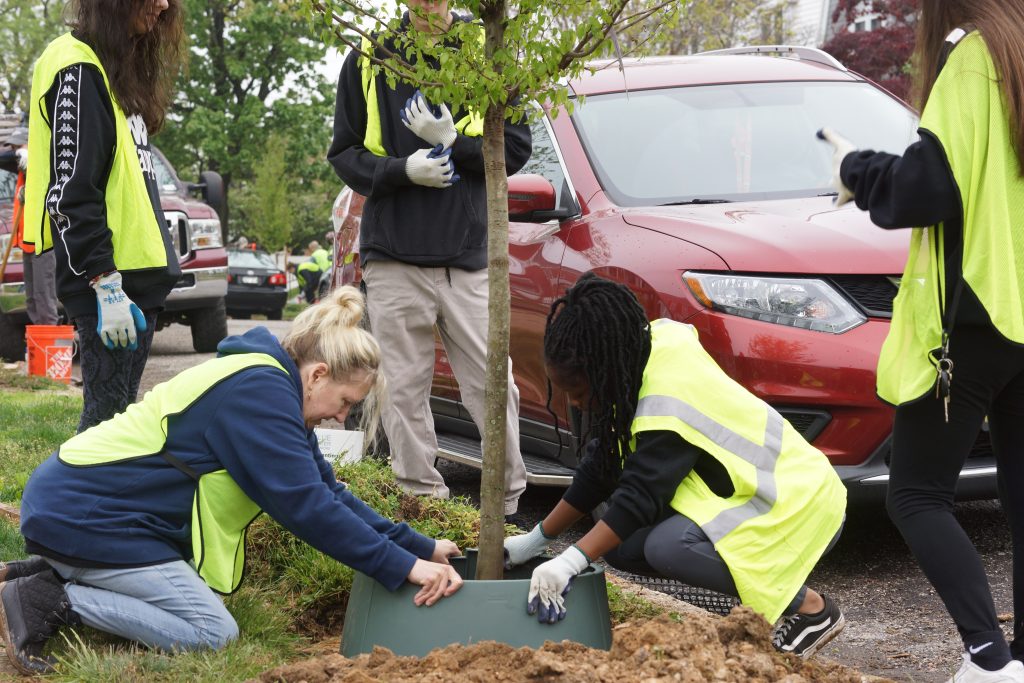 Two women add a plastic ring to a newly planted tree between a street and sidewalk while other volunteers look on.