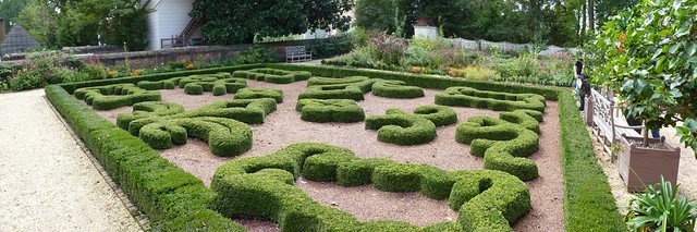 Upper Garden Hedges