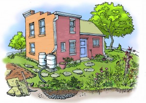 There are many options for reducing runoff from your home.