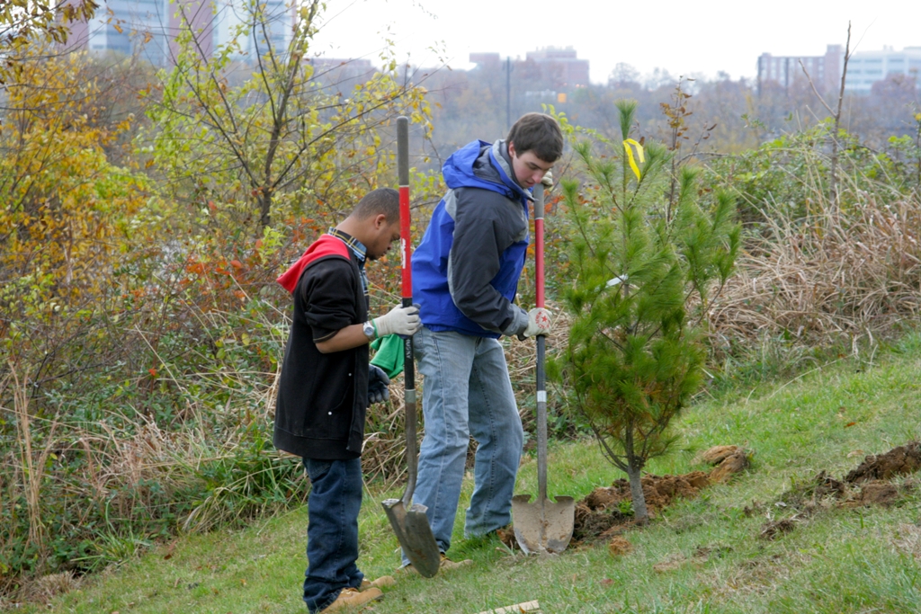 A volunteer teaches another volunteer how to plant a tree.