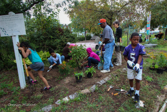Community members planting a rain garden at Amazing Grace Lutheran Church in Baltimore’s McElderry Park neighborhood. Credit: Carolyn Millard.