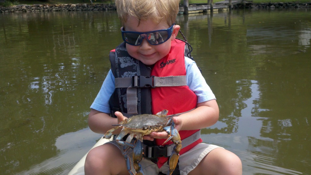 Jack with a big soft crab (a “whale”) on Hogpen Creek in Baltimore County.