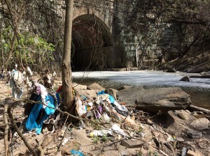 Plastic bags caught on branches at the outfall of Gwynns Run near Carroll Park.