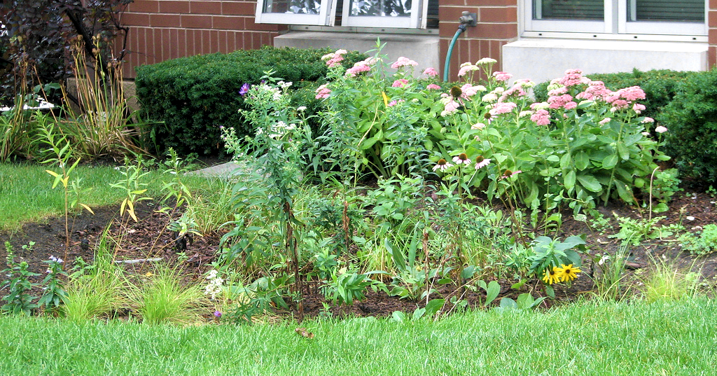 Rain Gardens are a beautiful way to reduce stormwater pollution.