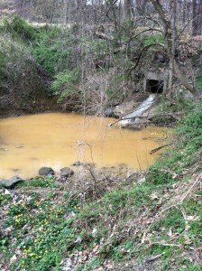 Polluted water entering our streams from a stormwater outfall.