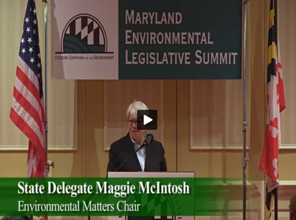 Click here to watch a video of Maggie McIntosh's speech.