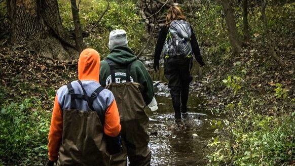 three people are walking through the water in the woods