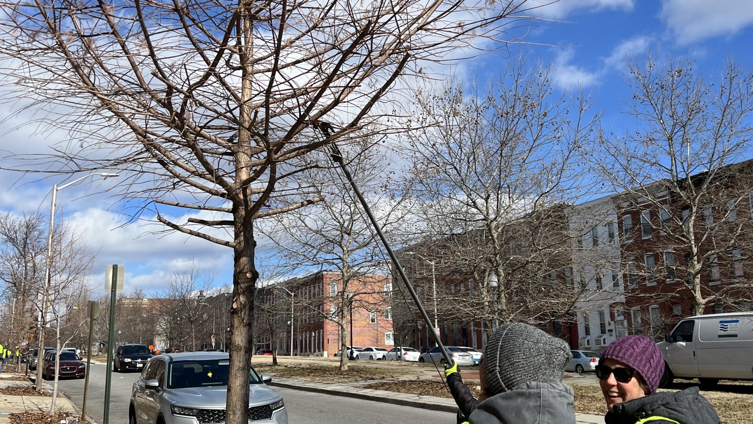 two people in yellow vests standing next to a tree