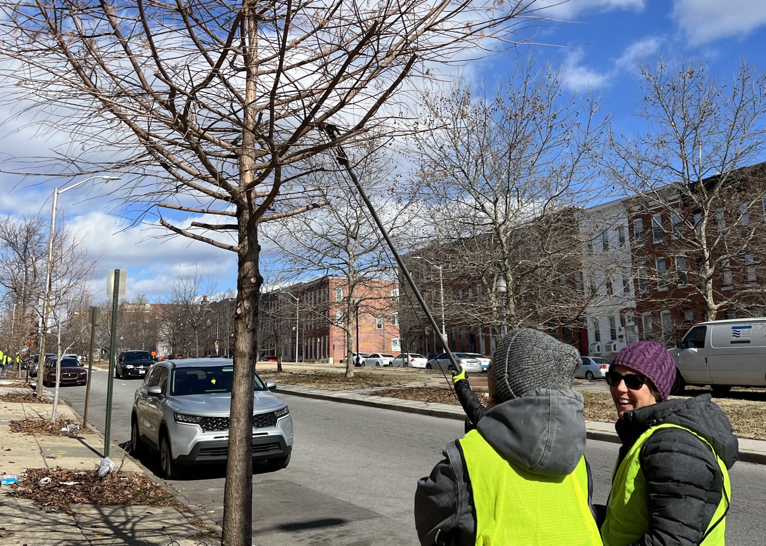 two people in yellow vests standing next to a tree