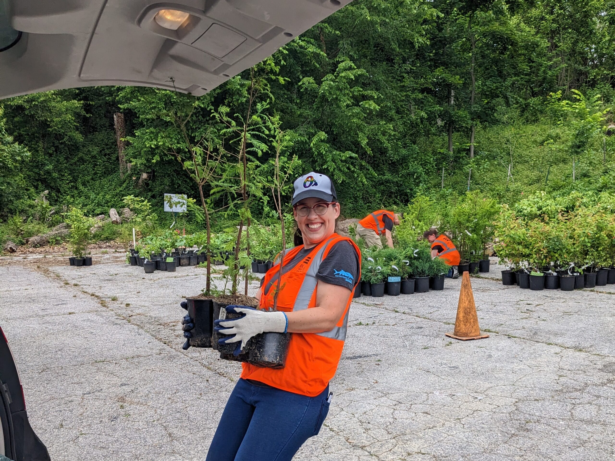 a woman in an orange vest is holding a tree