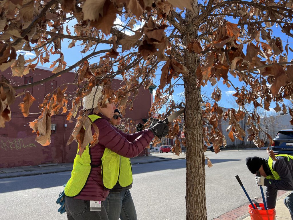 a man and a woman standing next to a tree
