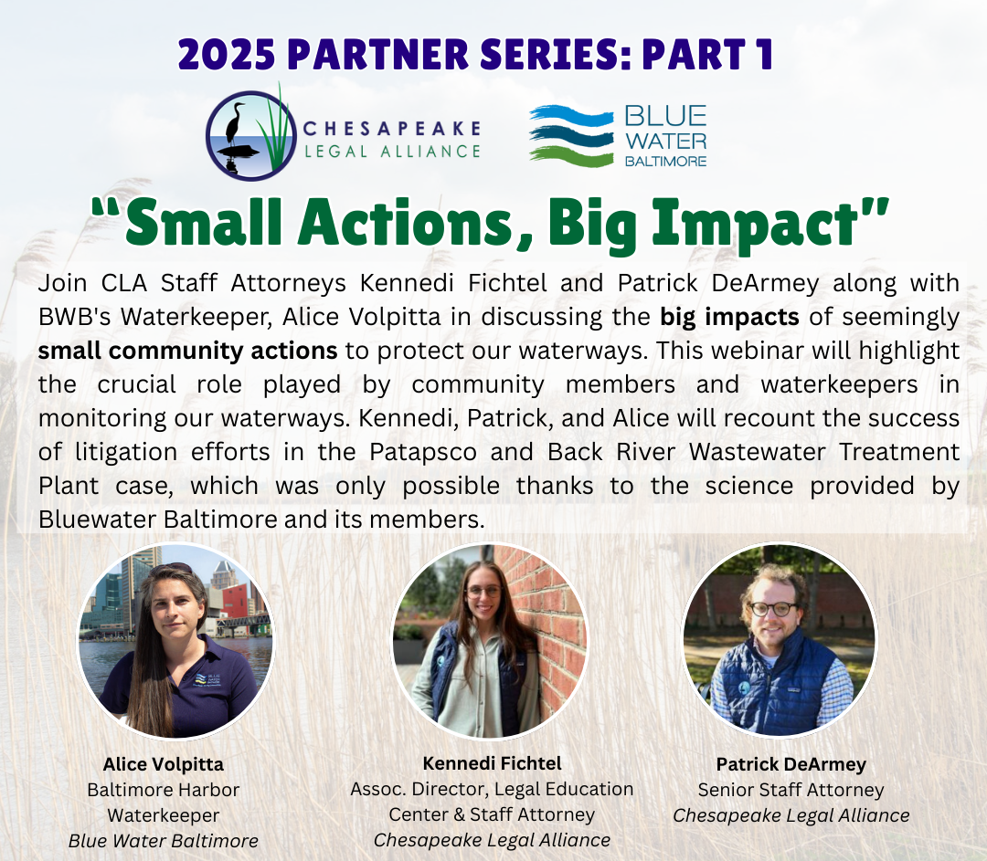 a flyer for a small action, big impact event