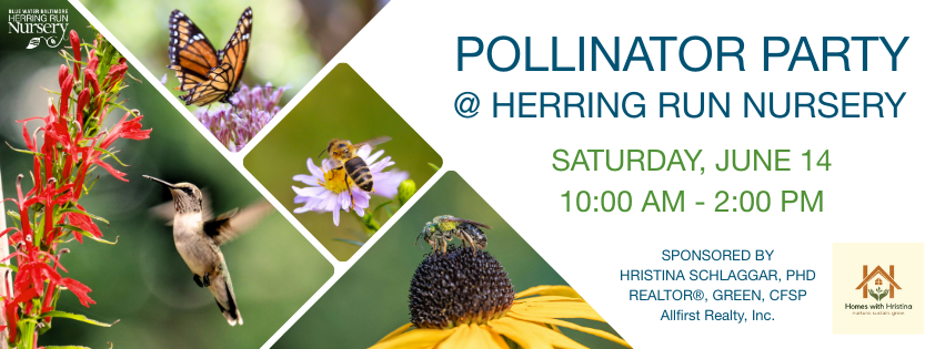 a flyer for a pollineator party with a picture of a hummingbird and