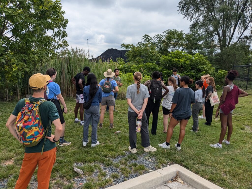 a group of people standing on top of a lush green field