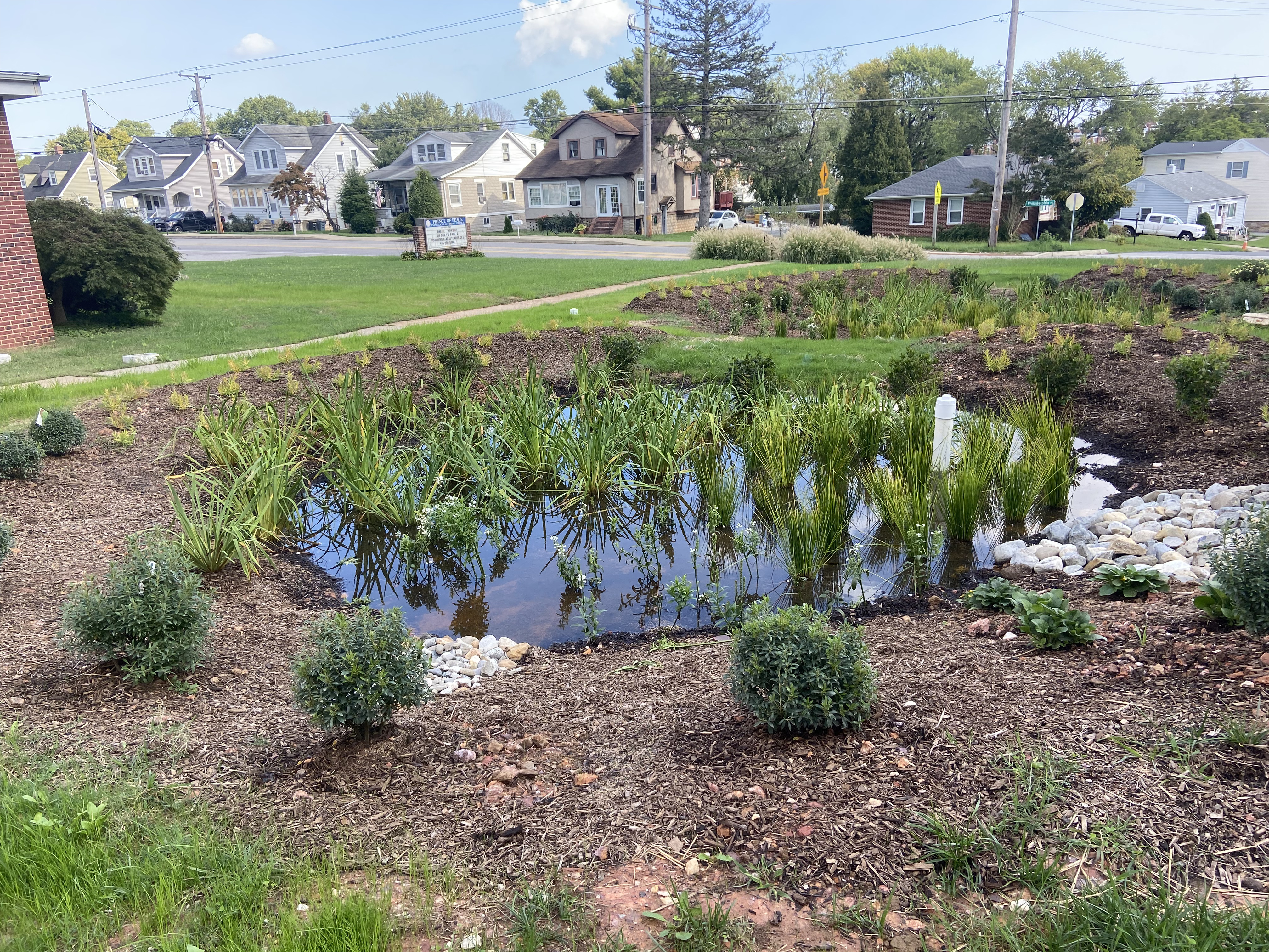 a small pond in the middle of a neighborhood