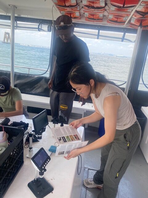 a woman standing on a ladder in a kitchen