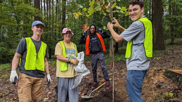 a group of people standing around a tree
