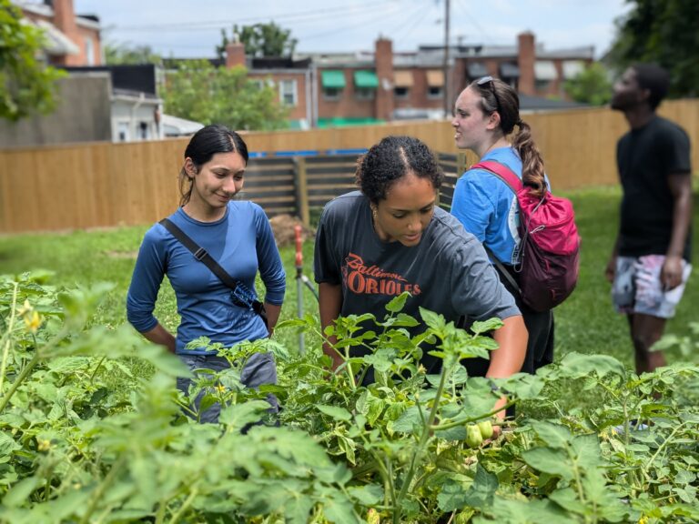 a group of people standing in a field of plants