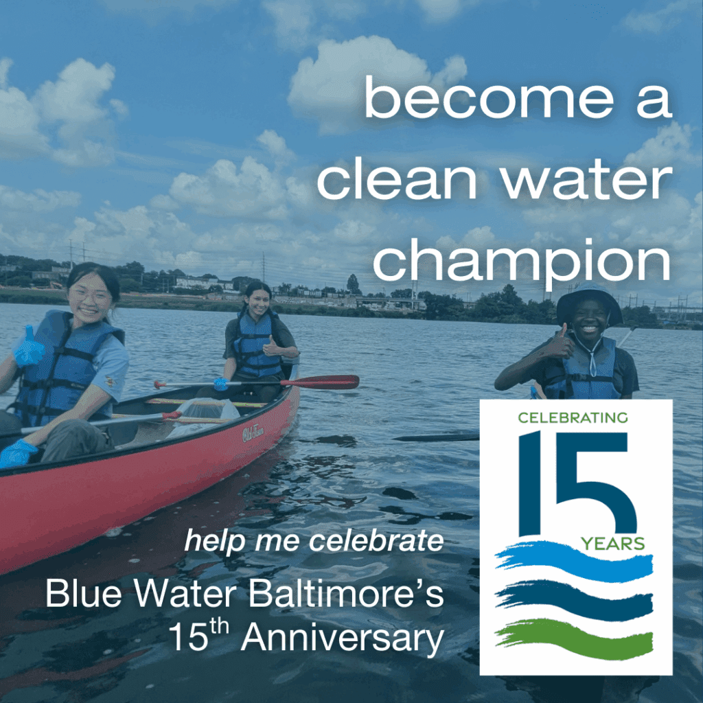 15K for 15 Years Social I