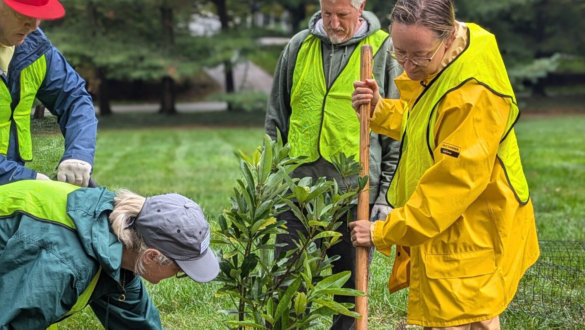 a group of people standing around a small tree