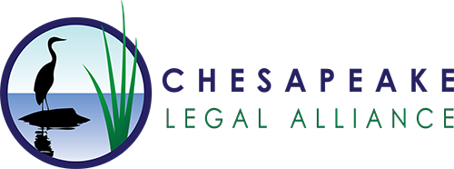 a tall bird standing on top of a body of water