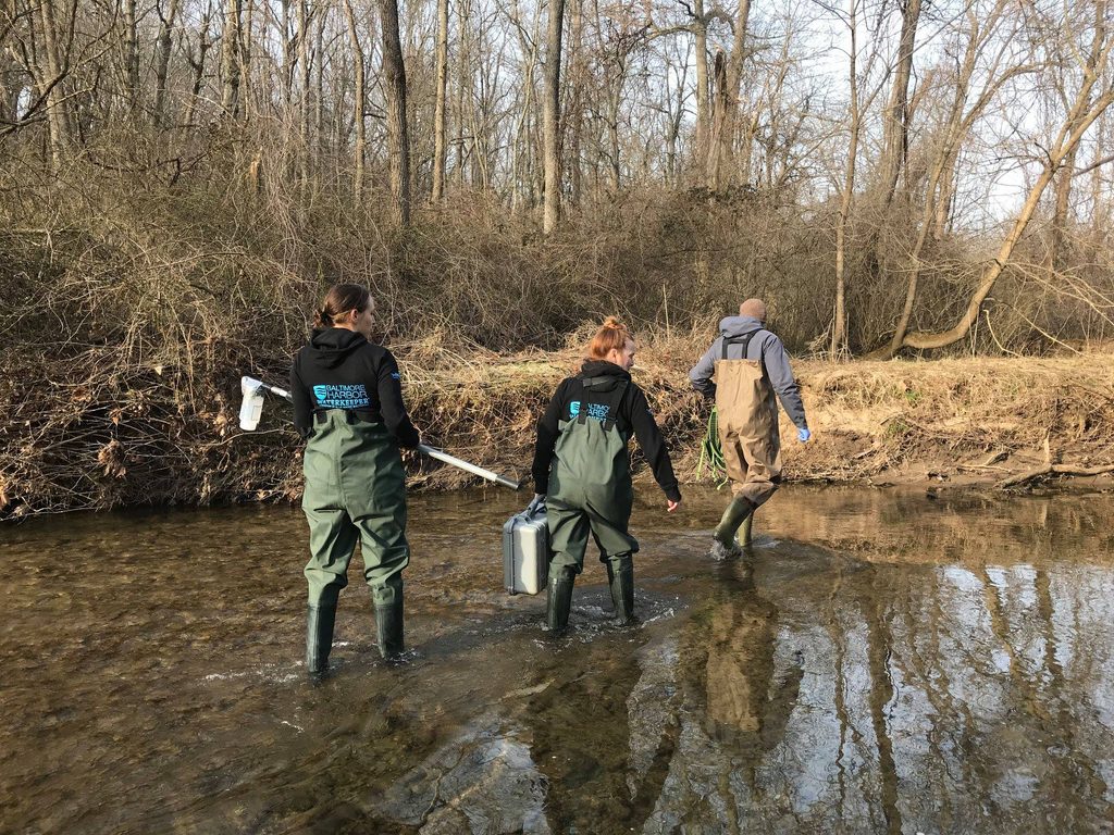 Three water quality experts wade into the water during an Outfall Screening Blitz. They wear waders and high boots, and carry water sample collecting equipment.